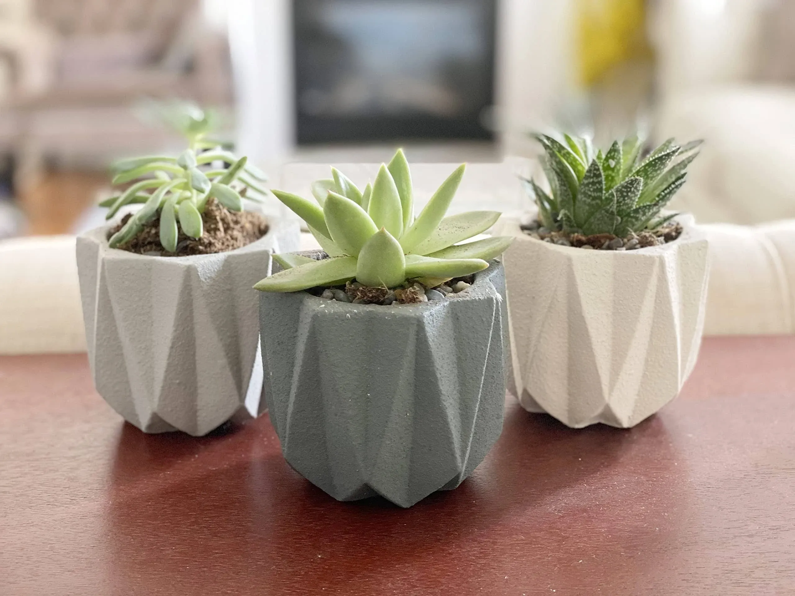 Chez JuJu Geometric Nordic Cement Succulent Pots 4.3" Planters with Drainage | 3 ...