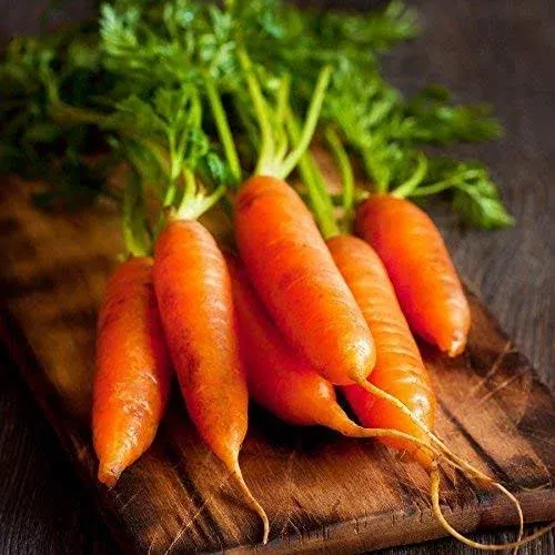 Red Cored Chantenay Carrot Seeds, 1000 Heirloom Seeds Per Packet, Non GMO Seeds