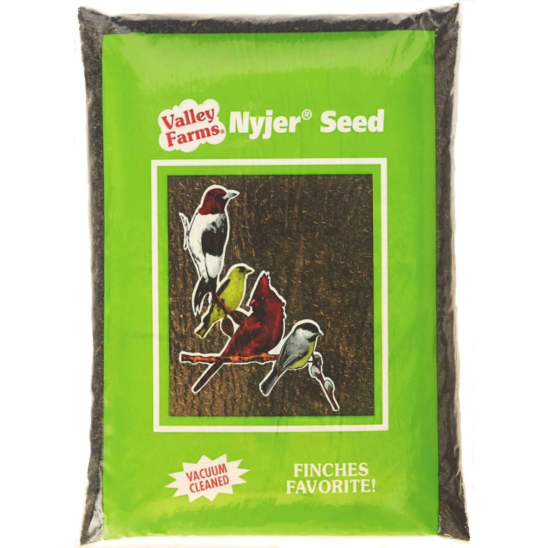 Nyjer Seed Wild Bird Food for Outside Feeders, Thistle Bird Seed for Outside Feeders, Finch Seed (15 LBS)