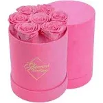 Glamour Boutique 7-Piece Forever Flowers Round Box - Preserved Roses, Immortal ...