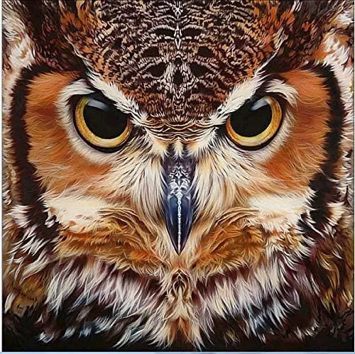 YiChuangXin DIY 5D Diamond Painting Kits for Adults Full Drill Owl Diamond ...