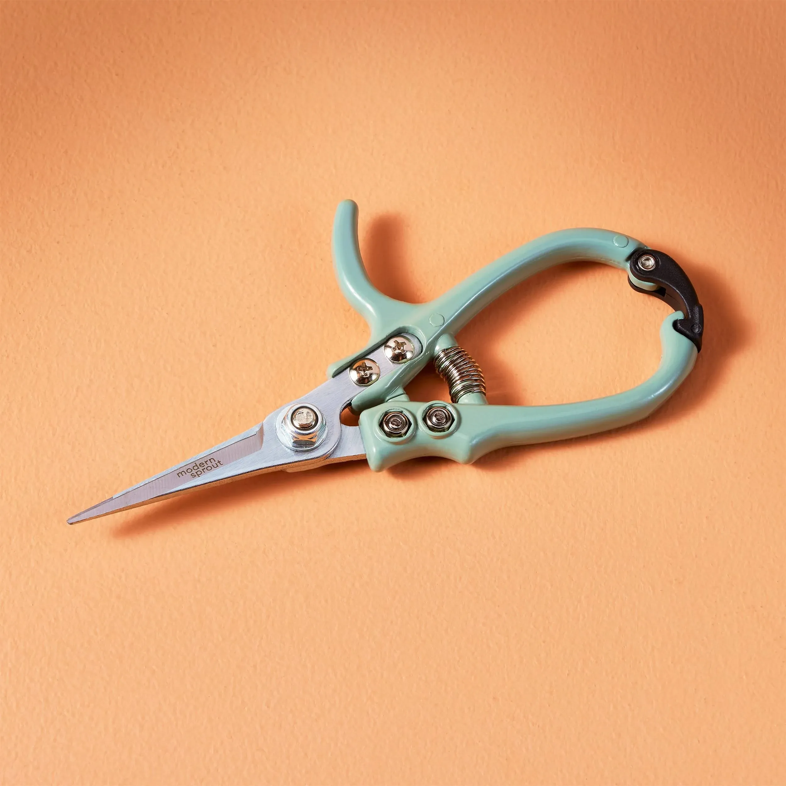 Modern Sprout Pruning Shears