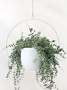 Hanging Planter Indoor Modern Boho Plant Pot Metal Wall and Ceiling Hanging Planter Holder Mid Century Minimalist Flower Pot for Hanging Plants, White